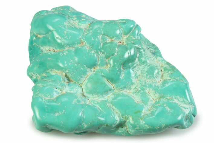 Polished Chilean Turquoise ( grams) Nugget #358847